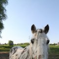 IMG_761894