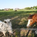 IMG_761897