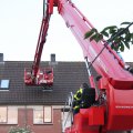 IMG_761917