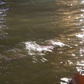 IMG_762099