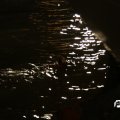 IMG_762100
