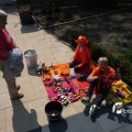 IMG_764545