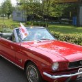 IMG_765286