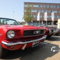 IMG_764205