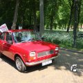 IMG_764431