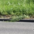 IMG_765631