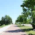 IMG_765667