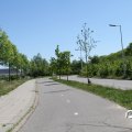 IMG_765673