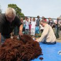 IMG_766841