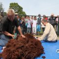 IMG_766842