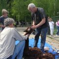 IMG_766890