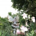 IMG_767413