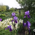 IMG_767432