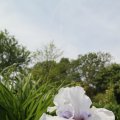 IMG_767449