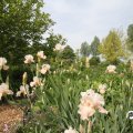IMG_767482