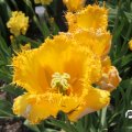 IMG_767500