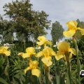 IMG_767507