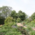 IMG_767509