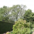 IMG_767511