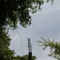 IMG_767526