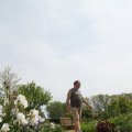 IMG_767527