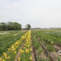 IMG_767542
