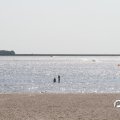 IMG_767647