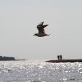 IMG_767654