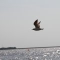 IMG_767655