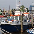 IMG_767708