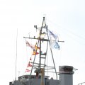 IMG_767736