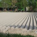 IMG_767821
