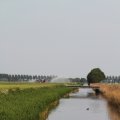 IMG_767833