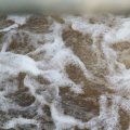 IMG_767839
