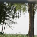 IMG_767850