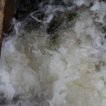 IMG_767858