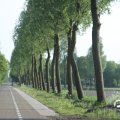 IMG_767883