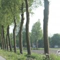 IMG_767884