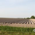 IMG_767890