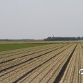 IMG_767893
