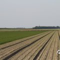 IMG_767895