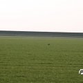 IMG_767917