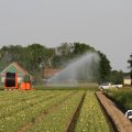 IMG_767945