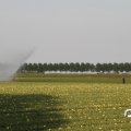 IMG_767946