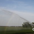 IMG_767962