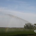 IMG_767966