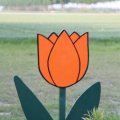 IMG_767984