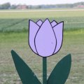 IMG_767988