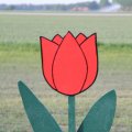 IMG_768009