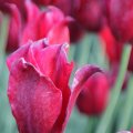 IMG_768014